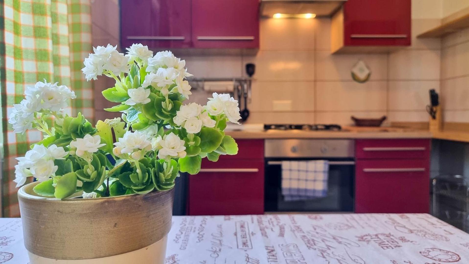 Mirjana Four Lägenhet Novigrad Istria Exteriör bild
